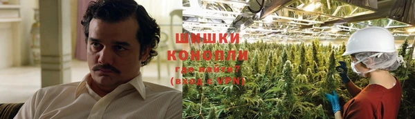 сатива Дмитров