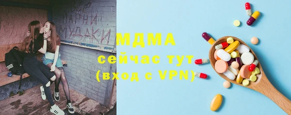 прущие грибы Дмитровск