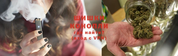 прущие грибы Дмитровск