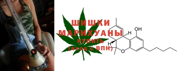 сатива Дмитров
