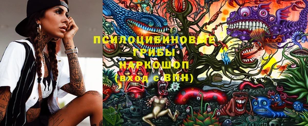 прущие грибы Дмитровск