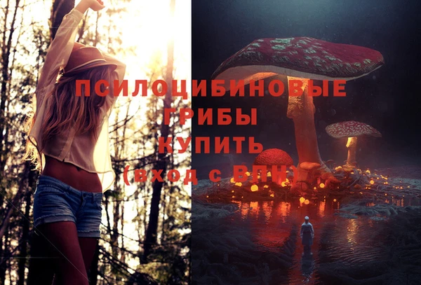 Альфа ПВП Дмитриев